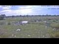 Webcam Otjiwarongo