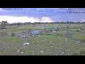Webcam Otjiwarongo