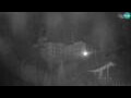 Webcam Postojna