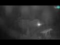 Webcam Postojna