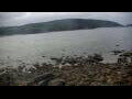 Webcam Malpica