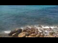 Webcam Malpica