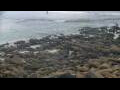 Webcam Malpica