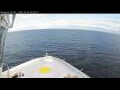 Webcam Norwegian Bliss
