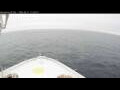 Webcam Norwegian Bliss