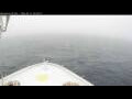 Webcam Norwegian Bliss