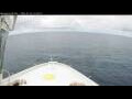 Webcam Norwegian Bliss