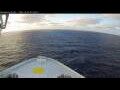 Webcam Norwegian Bliss
