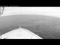 Webcam Norwegian Bliss