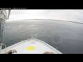Webcam Norwegian Bliss