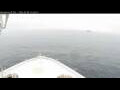 Webcam Norwegian Bliss