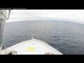 Webcam Norwegian Bliss