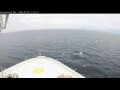 Webcam Norwegian Bliss