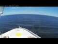 Webcam Norwegian Bliss