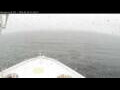 Webcam Norwegian Bliss