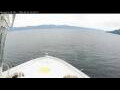 Webcam Norwegian Bliss