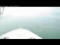 Webcam Norwegian Bliss