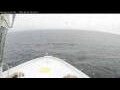 Webcam Norwegian Bliss