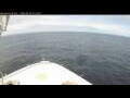 Webcam Norwegian Bliss