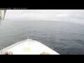 Webcam Norwegian Bliss
