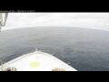 Webcam Norwegian Bliss