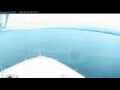 Webcam Norwegian Bliss