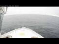 Webcam Norwegian Bliss
