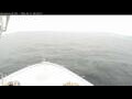 Webcam Norwegian Bliss