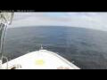 Webcam Norwegian Bliss