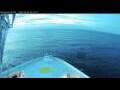 Webcam Norwegian Bliss