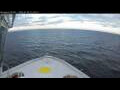 Webcam Norwegian Bliss
