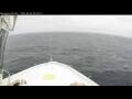 Webcam Norwegian Bliss