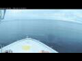 Webcam Norwegian Bliss