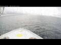 Webcam Norwegian Bliss