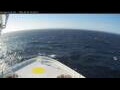 Webcam Norwegian Bliss