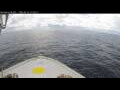 Webcam Norwegian Bliss