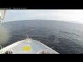 Webcam Norwegian Bliss
