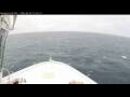 Webcam Norwegian Bliss