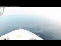 Webcam Norwegian Bliss