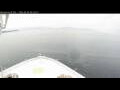 Webcam Norwegian Bliss