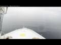 Webcam Norwegian Bliss