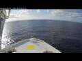 Webcam Norwegian Bliss