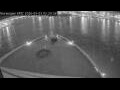 Webcam Norwegian Epic