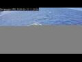 Webcam Norwegian Epic