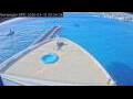 Webcam Norwegian Epic