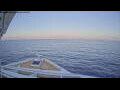 Webcam Norwegian Gem