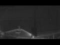 Webcam Norwegian Gem