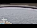 Webcam Norwegian Jade