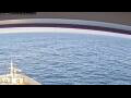 Webcam Norwegian Jade