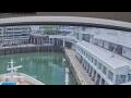 Webcam Norwegian Jade